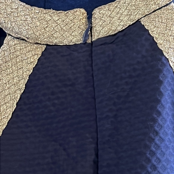 Lilly Pulitzer Navy & Gold Metallic Shift Dress - Picture 9 of 10